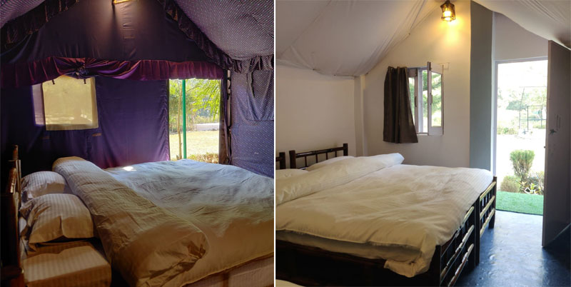 luxury forest camps in rishikesh 7